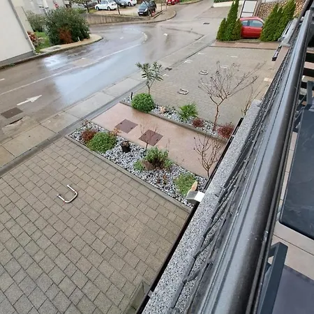 Blue * تْسْغيكفانِتْسا
